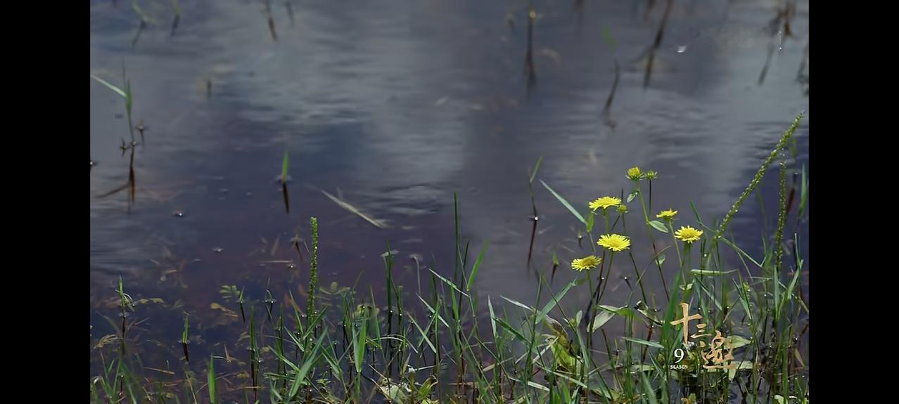 加缪：在隆冬，我终于知道，我身上有一个不可战胜的夏天。

我并不期待人生可以过得