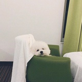 杏辰逛逛娱乐