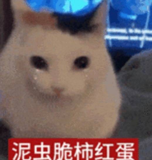 这个歌单我太想听了卧槽，如果真有想去海边，还有一起长大吧笨蛋，还有不会说谎的恰恰