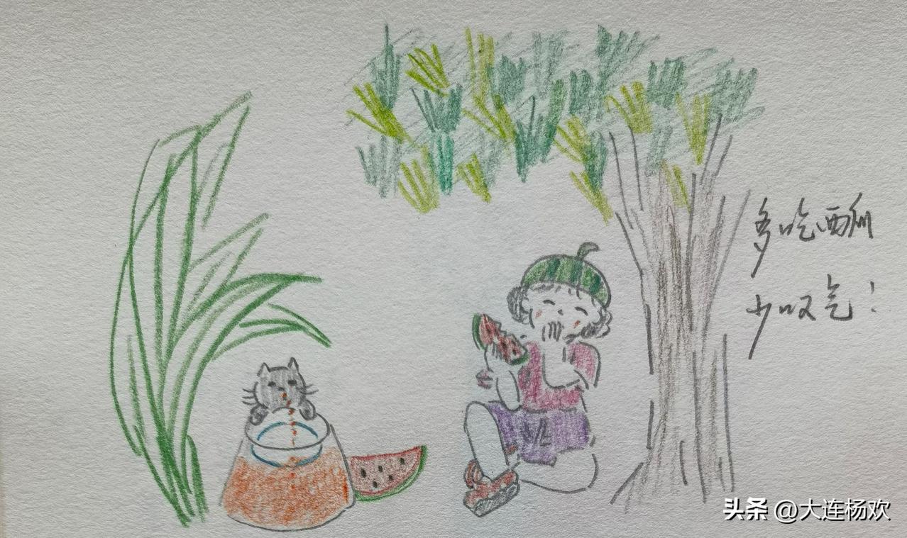 这个周末，感觉大连下火了，气温高到离谱，周六大连甘井子南关岭最高温度38.3℃。