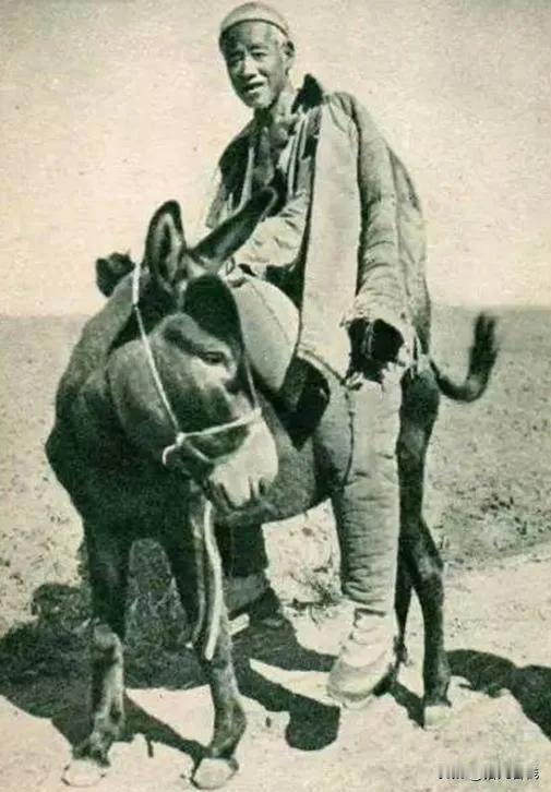 [微风]1945年，八路军神枪手裴天来被俘，日军将他绑在一棵大树上，谁知他一瞪眼