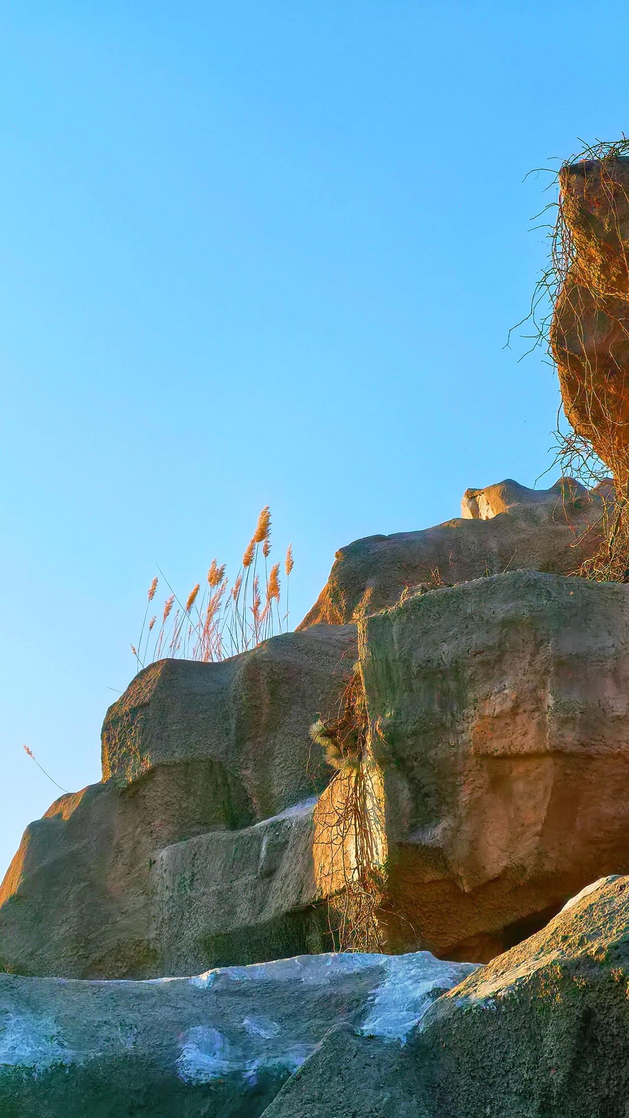 我已忘了秋天 是最凄美的时间