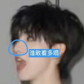 ？？？怎么敢拿着一个塌鼻梁拉踩驼峰鼻 prada品牌大使朱志鑫