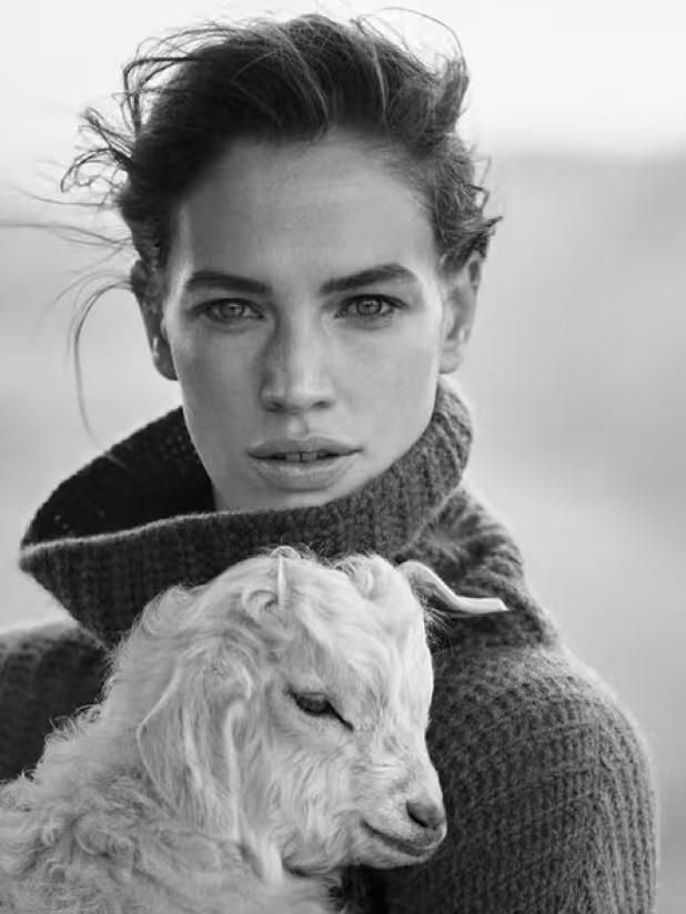 人与动物的举手投足间
眸光交汇的刹那
情绪流淌无声[玫瑰]