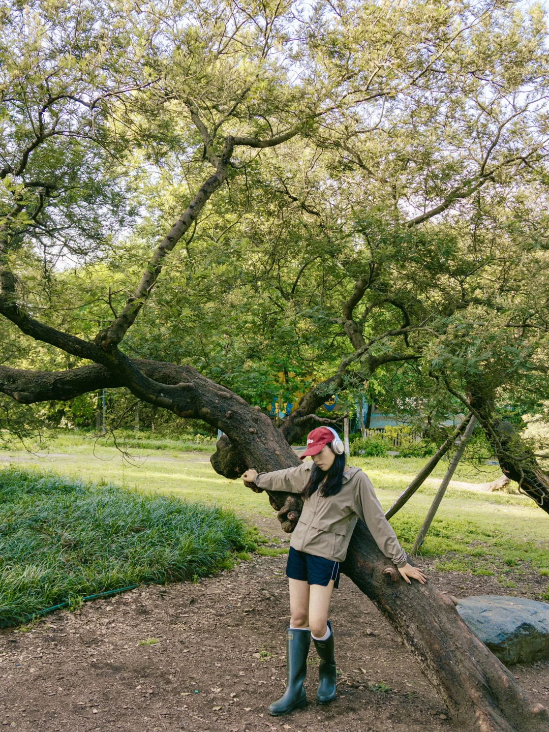 热烈而坚定，永远有力量