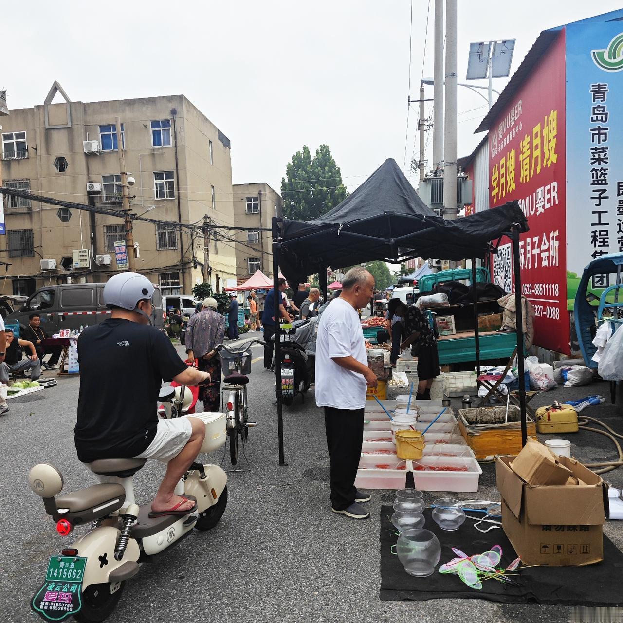 今天农历六月初十，既是大暑节气。又<杨家村大集>。
俺原本还真是不想来赶这个大集