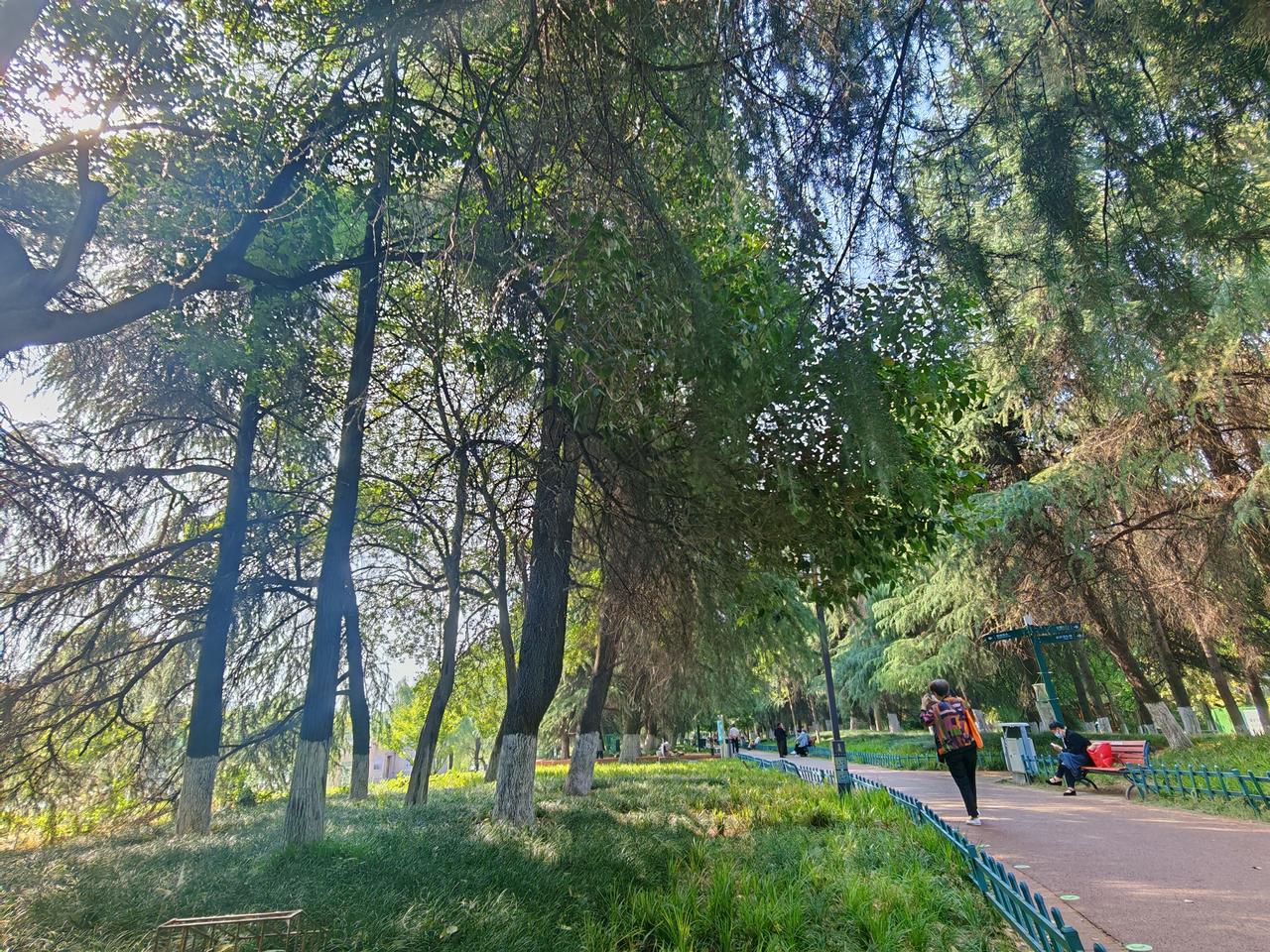 透明的那种感觉，就像通感里描绘的场景。比如“窗外的鸟叫声里，有一种透明的、亮晶晶