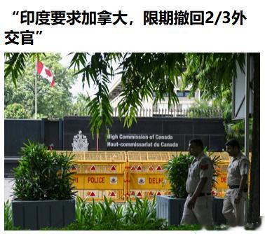 我就喜欢看这种狗咬狗 ​​​