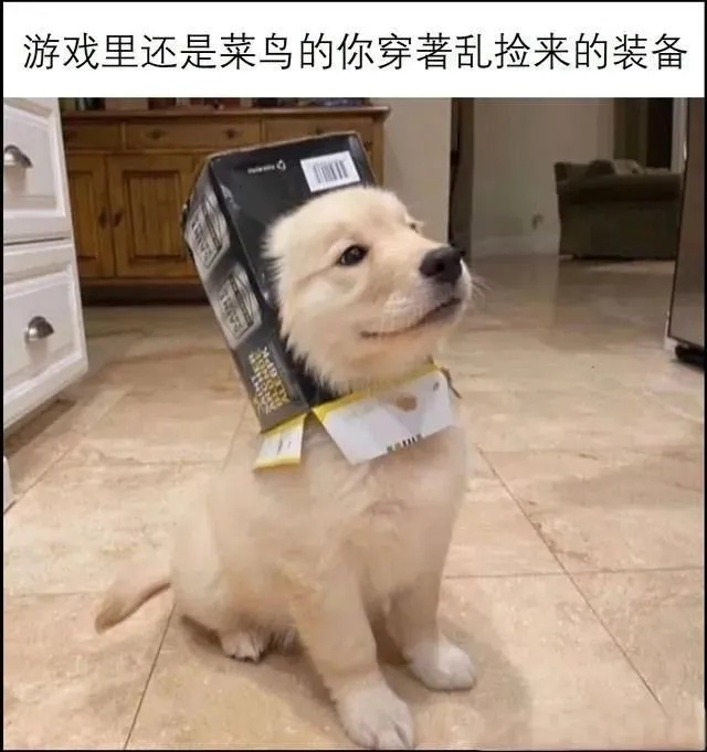 那又怎么了！我还是最可爱哒！ meme  / 