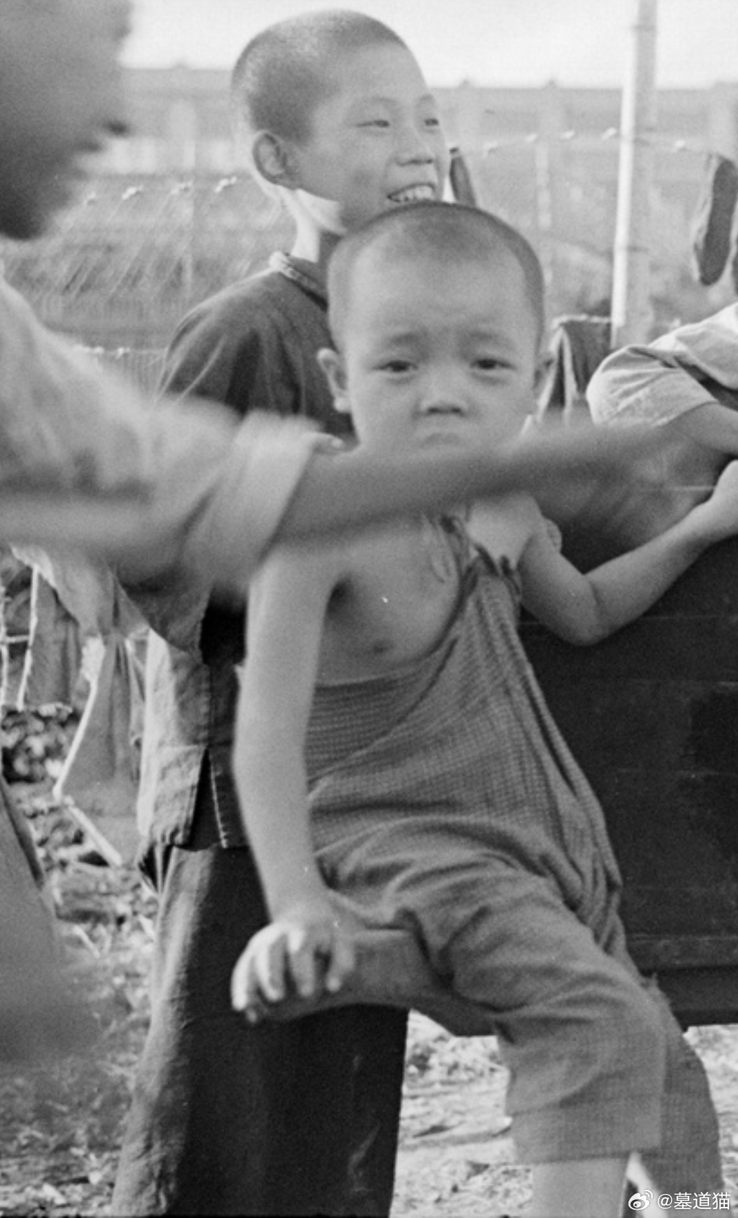 手推车上玩耍的儿童，上海，1937年 