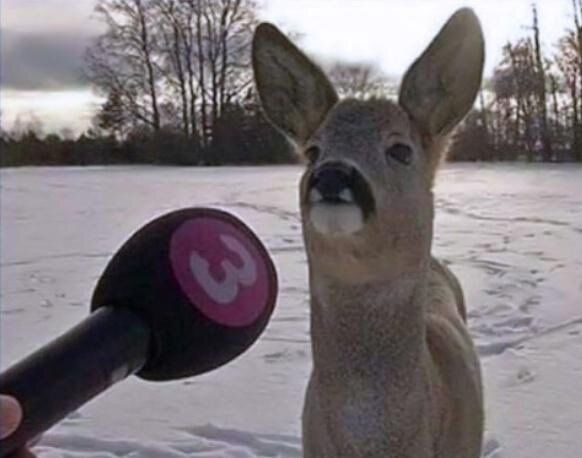 海贼王海贼王 真正的海贼王真人版哈哈哈哈哈一模一样 