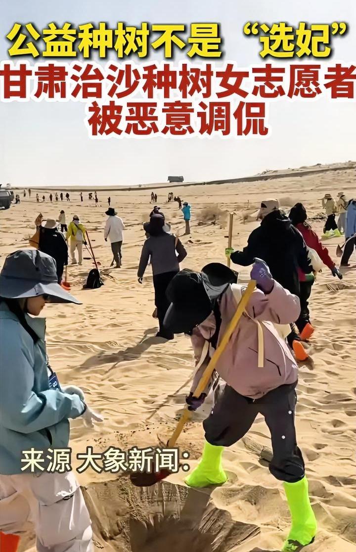 公益植树活动，成了“选妃现场”？一群人挂着志愿者的头衔，背地里干着龌龊事，真给公