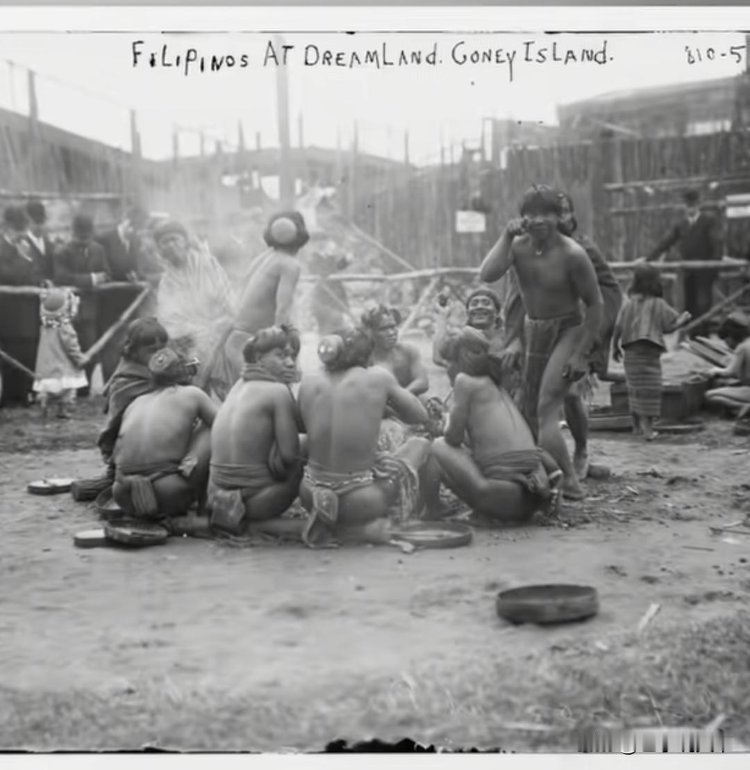 1904年圣路易斯世博会，美国把上千名菲律宾土著运到现场，圈出一片区域当成活体展