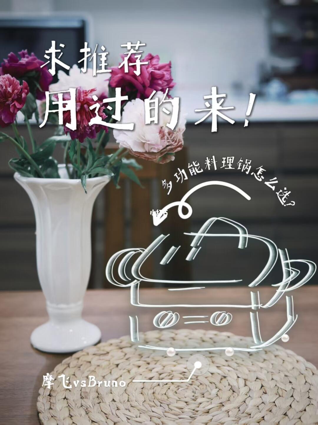 姐妹们求助！摩飞和Bruno多功能锅怎么选？