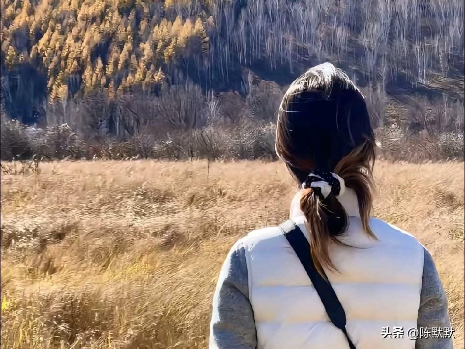 父亲，您走了其实也好，终于不用受生活的苦和疾病的罪了。

那些天看着你一天比一天