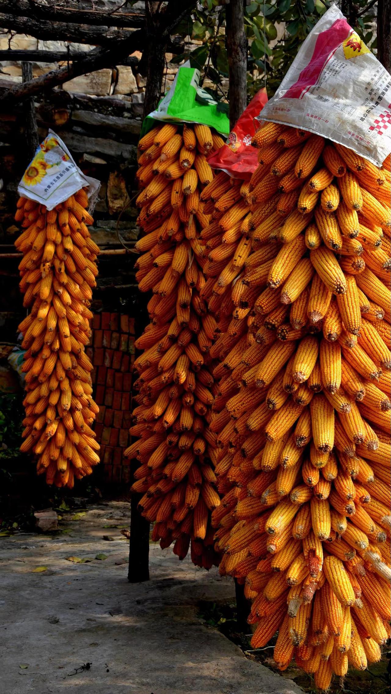记录•太行一日