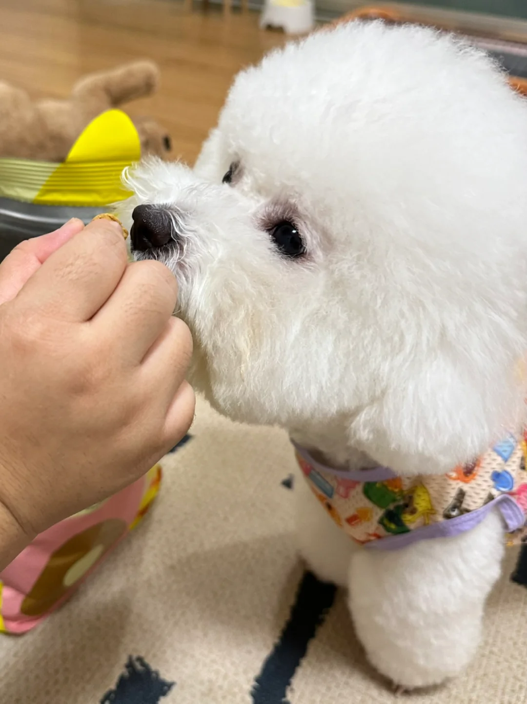 炫饭熊🐻出没！请大家注意避让～