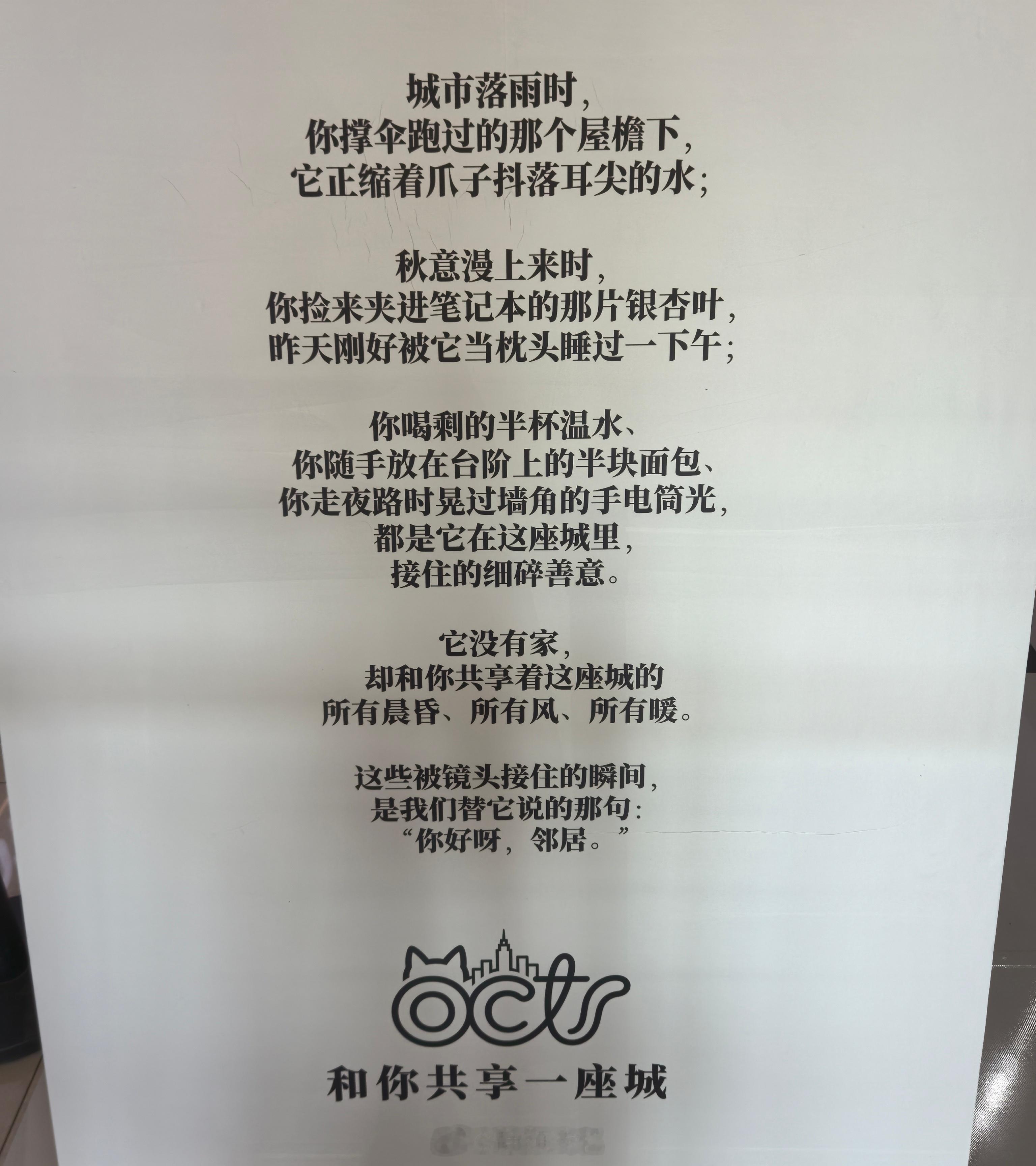 今天在商场里偶遇这段写给流浪小动物的文字，字句格外温柔暖心，把漂泊的小家伙们称作