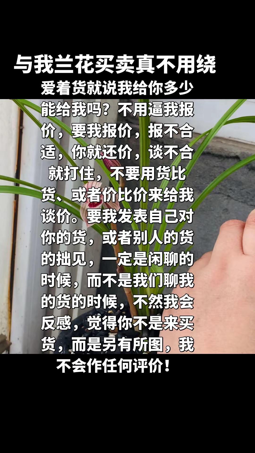 18年到现在，我买兰花只会三步，不会其他。看到自己喜欢的问价-还价=成交（不成交