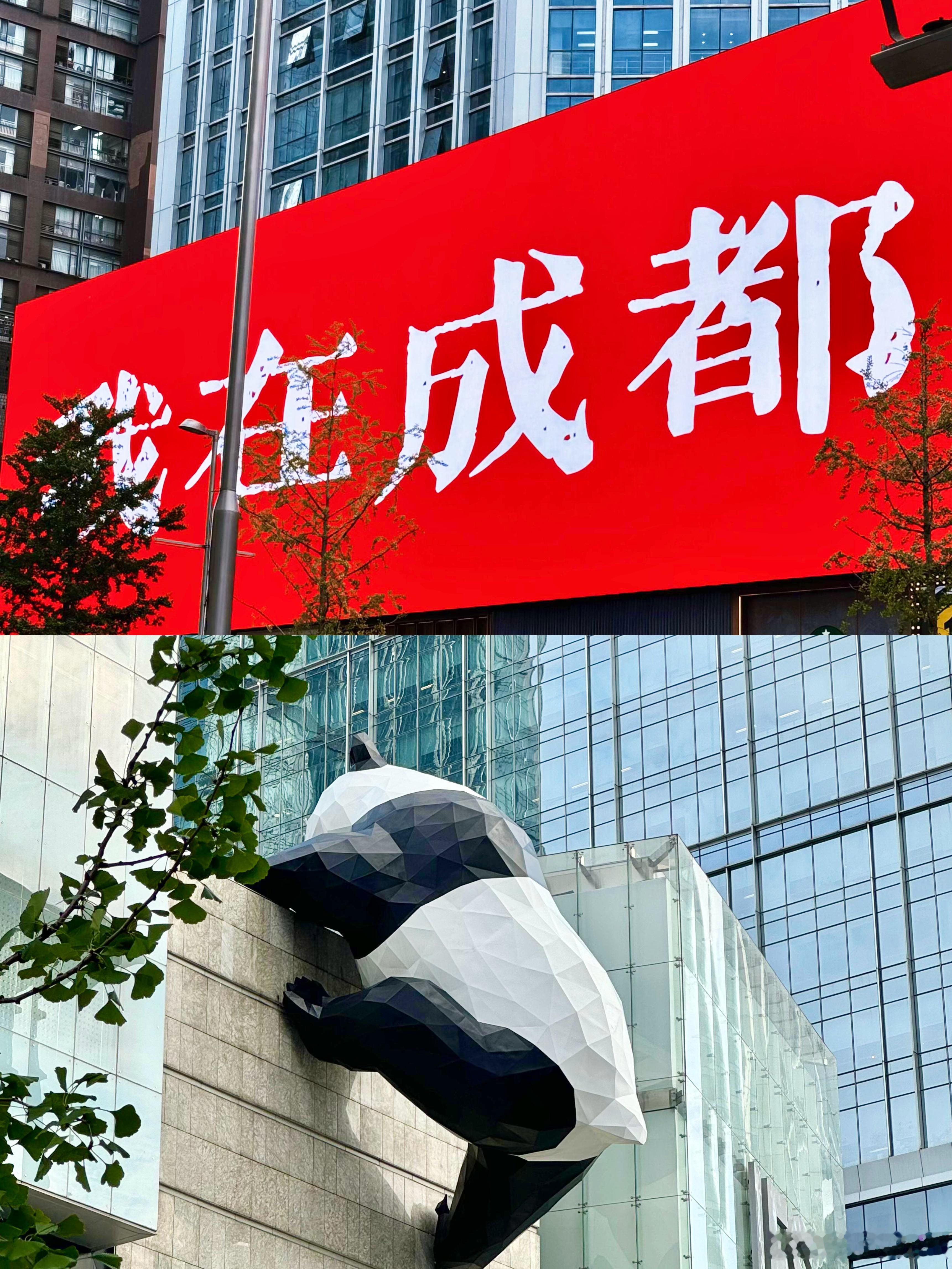 成都春熙路一日游citywalk🚶春熙路基本是成都旅游一定会来的地方！被熊猫“