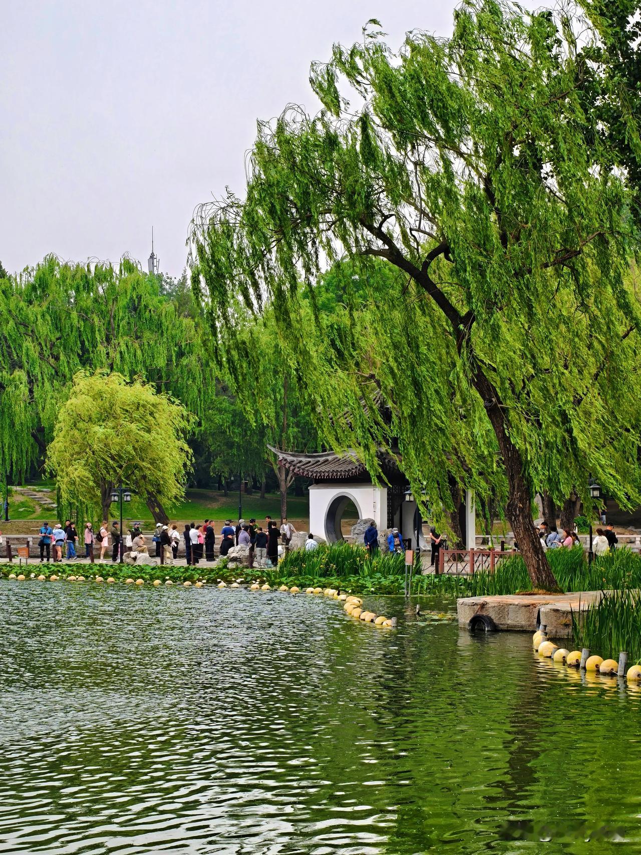 偷得周末半日闲，赴陶然亭赴一场午后之约，褪去闲市的喧嚣，踏入园门的那一刻，便被温
