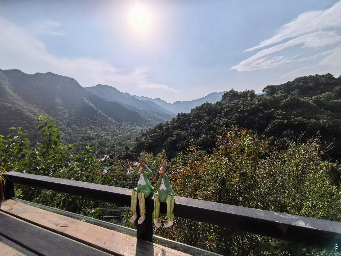 生活手记天门山偶遇小机灵🐜一头扎进天门山的绿意里，风裹着松涛漫过发梢。低头忽见