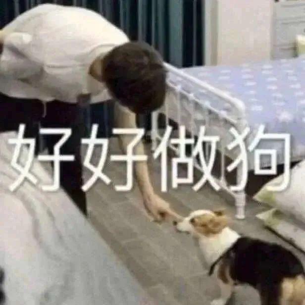 斗图神器，表情包让你赢在起跑线！ #表情包# ​​​