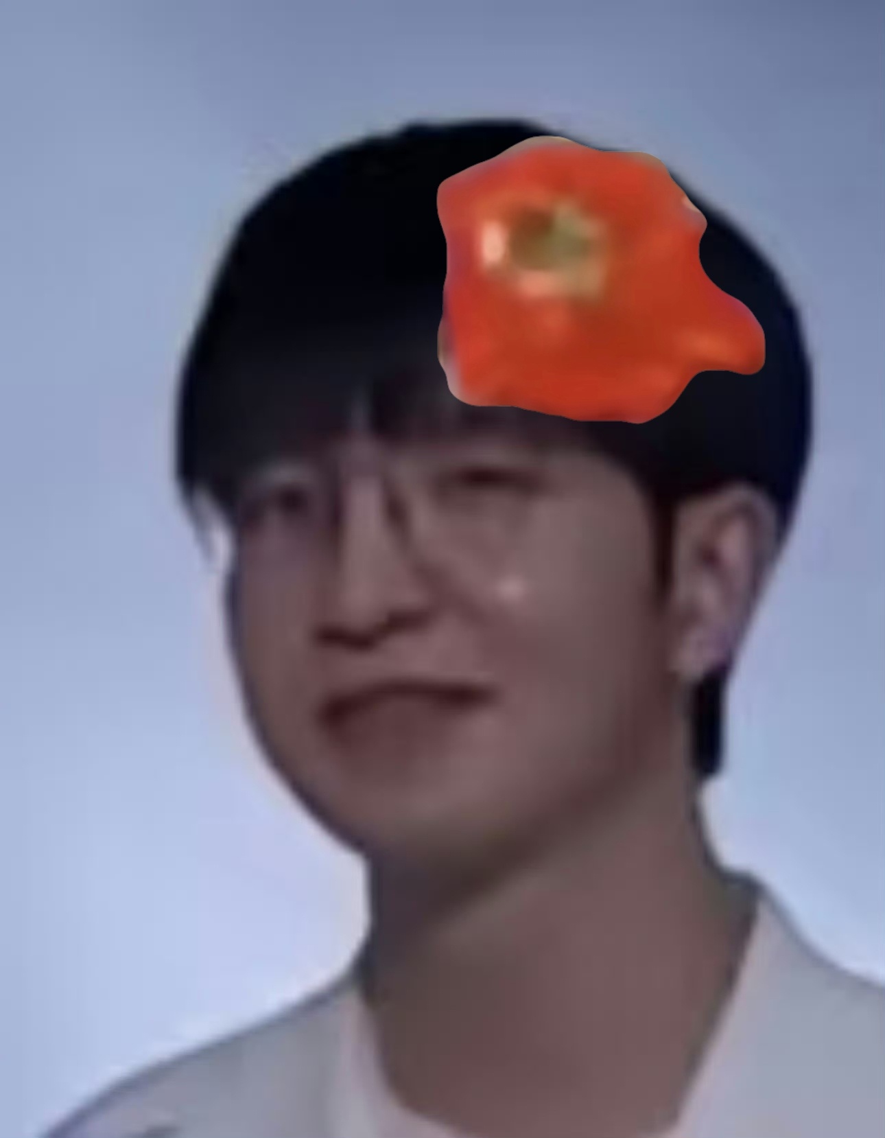 分享图片 