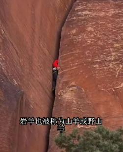 王一博到底什么时候才能“鬼混”完回来当明星呢？

王一博现在真的是沉浸在自己的探