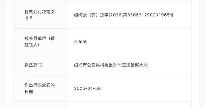 演员金晨交通事故处罚结果公开