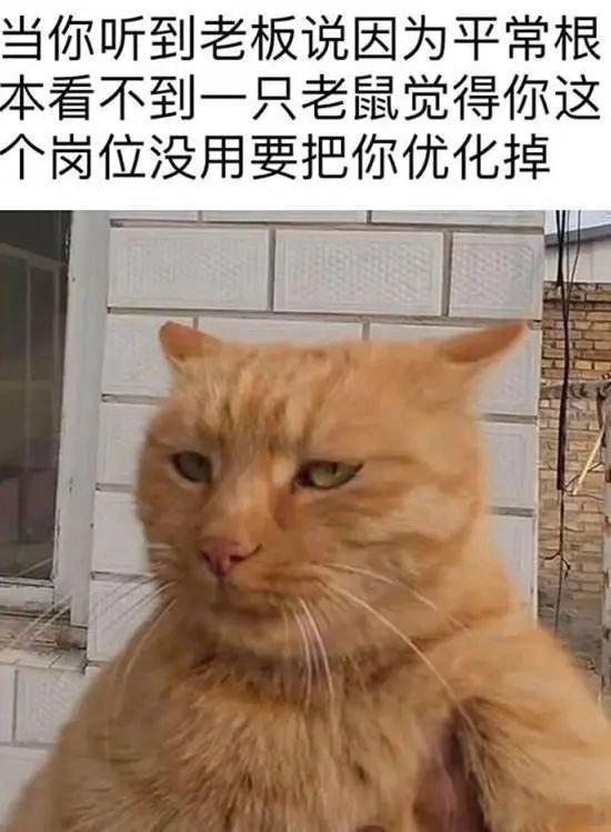 今日份的小破梗，是一个职场梗