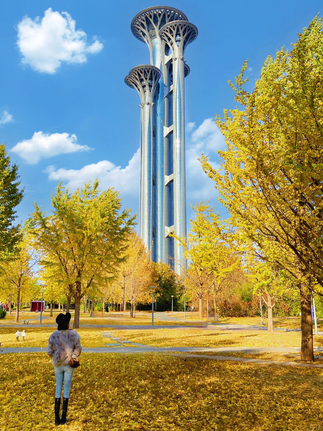 啊啊啊钉子塔下的秋🍂还在继续！11.6！附地图