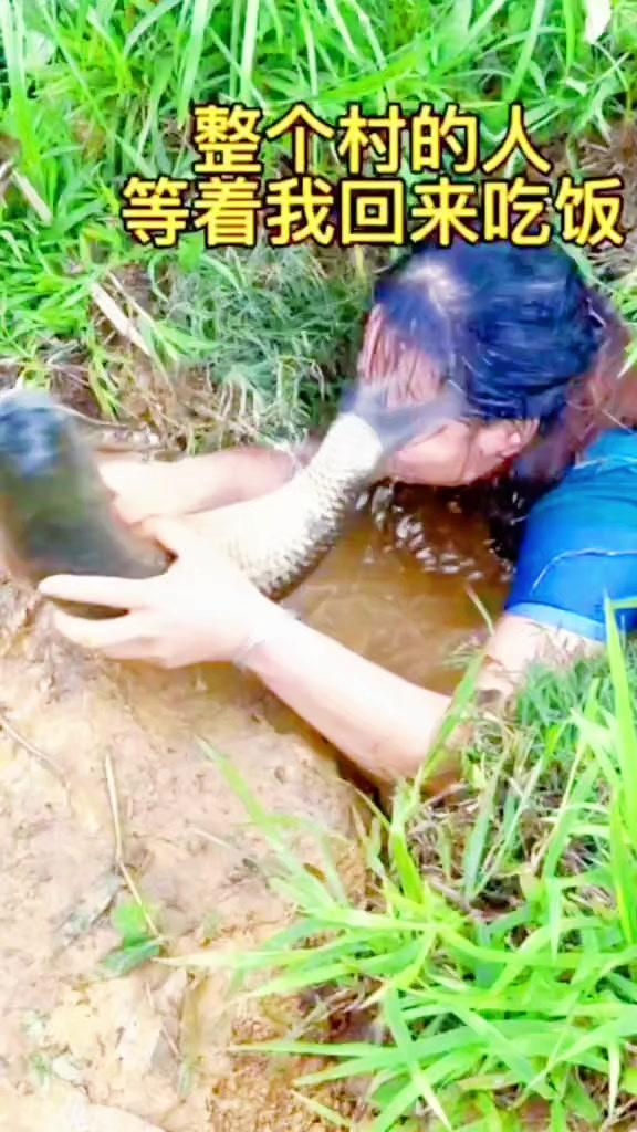 姑娘抓甲鱼太投入抓甲鱼野外趣事搞笑日常
谁懂啊！这姑娘抓甲鱼的动作真的太专业了！