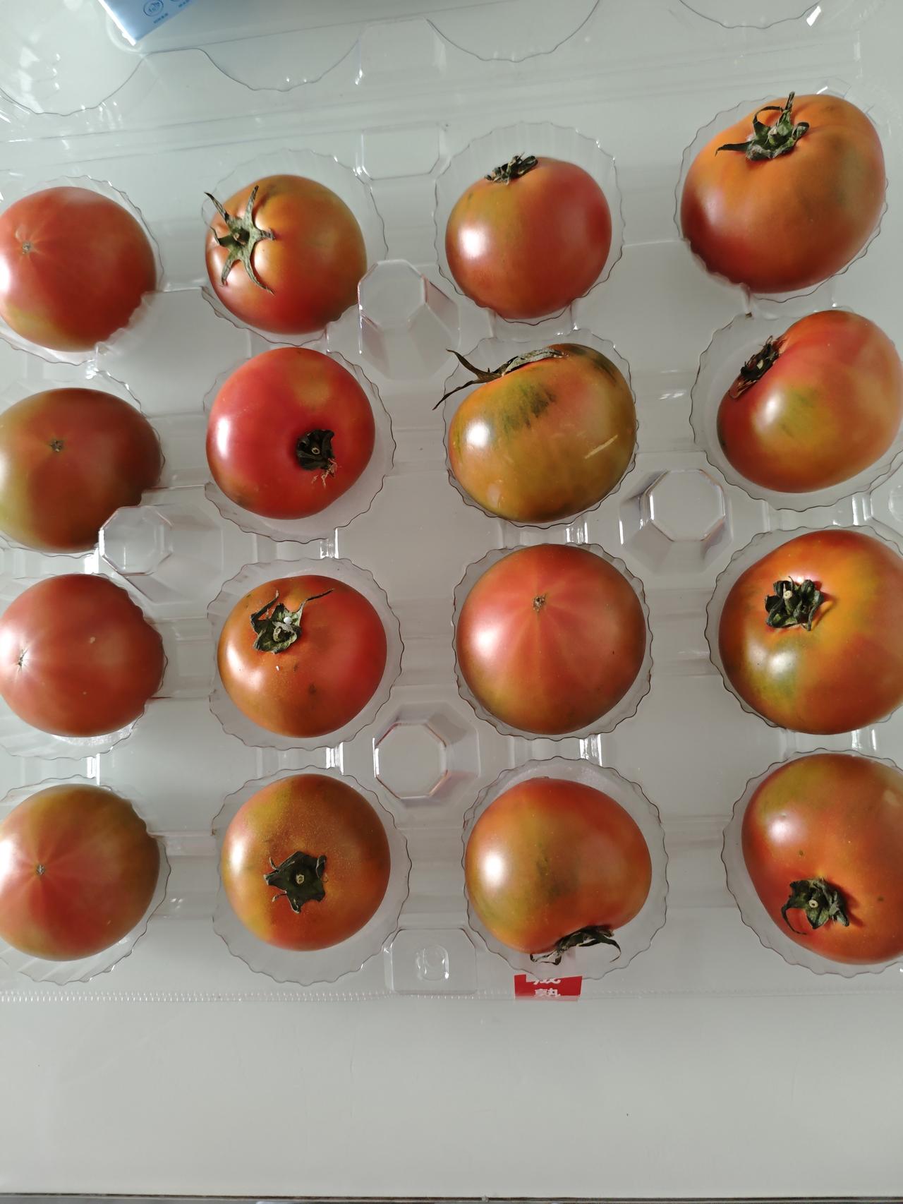 晒出我的今日美食我儿媳妇网上买的草霉番茄，可以当水果生吃，味道酸酸甜甜的，水份也