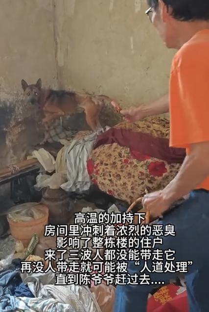 “解释不清了！”重庆，一位老人因病离世，邻居们都以为老人出门了，直到一周后才被发