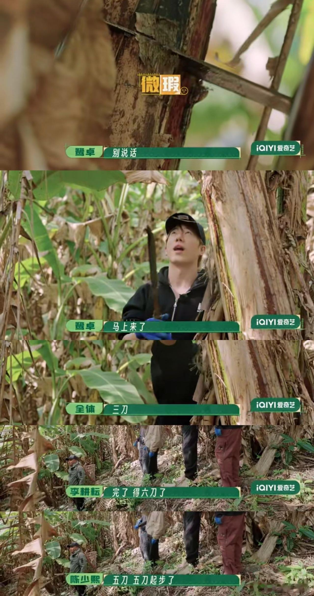 终于知道鹭卓为什么叫鹭十八了对比真的太强烈了，别的种地少年砍香蕉行云流水，靠的是