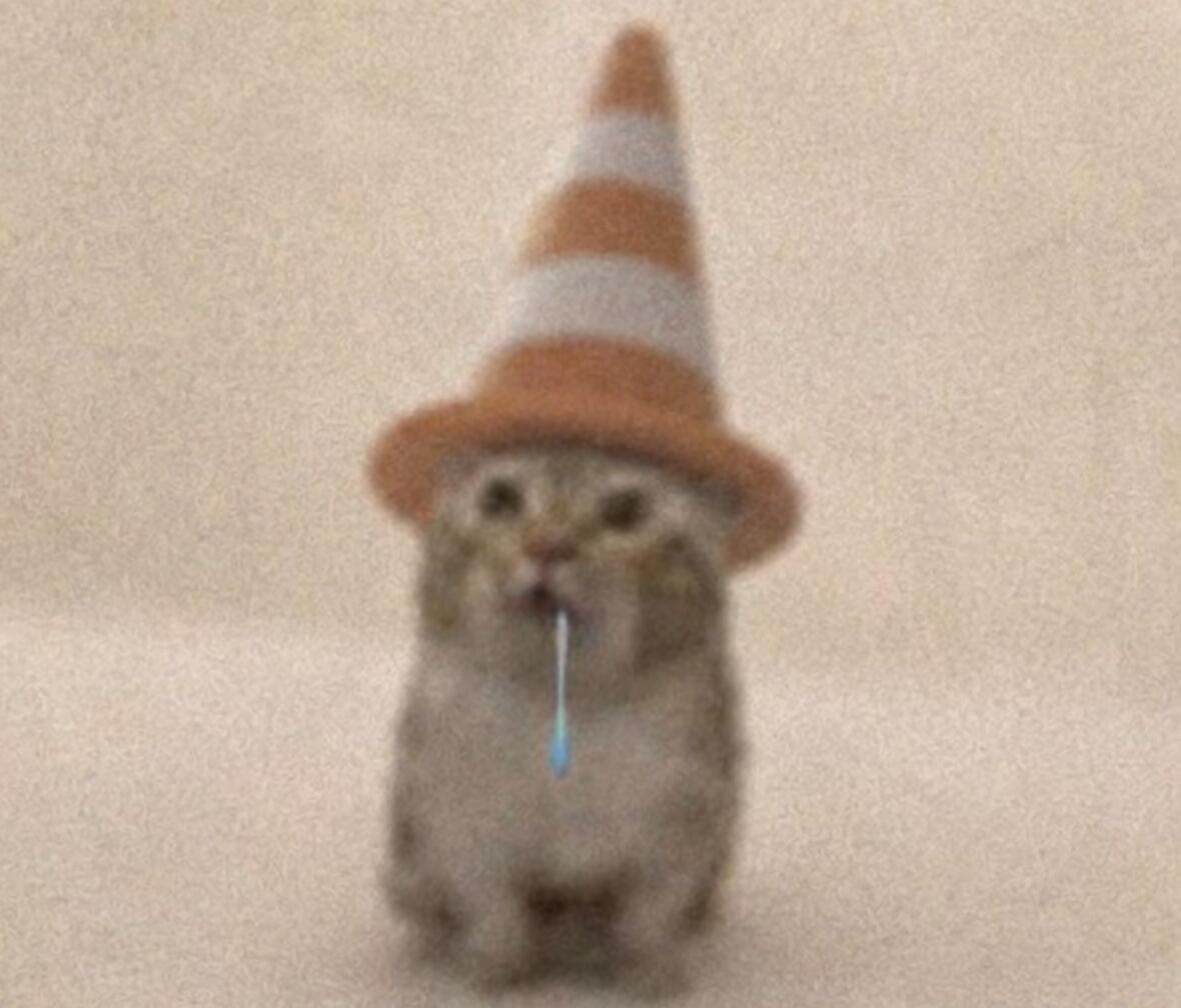 低脂小猫头像分享 