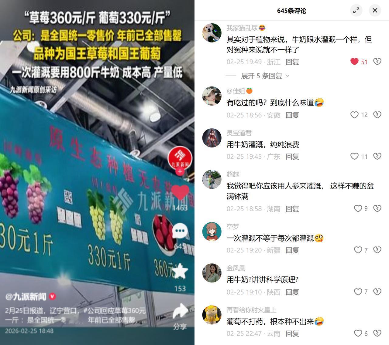 360元一斤草莓，牛奶灌溉？

辽宁营口有家农业公司，国王草莓卖360元/斤