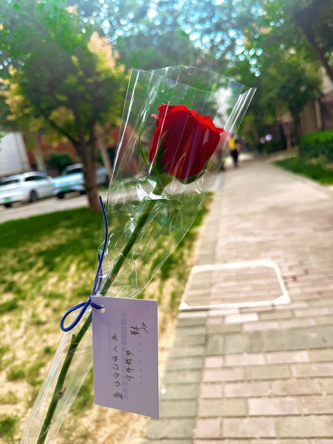 歌手鹭卓 毕业快乐 下个音综见