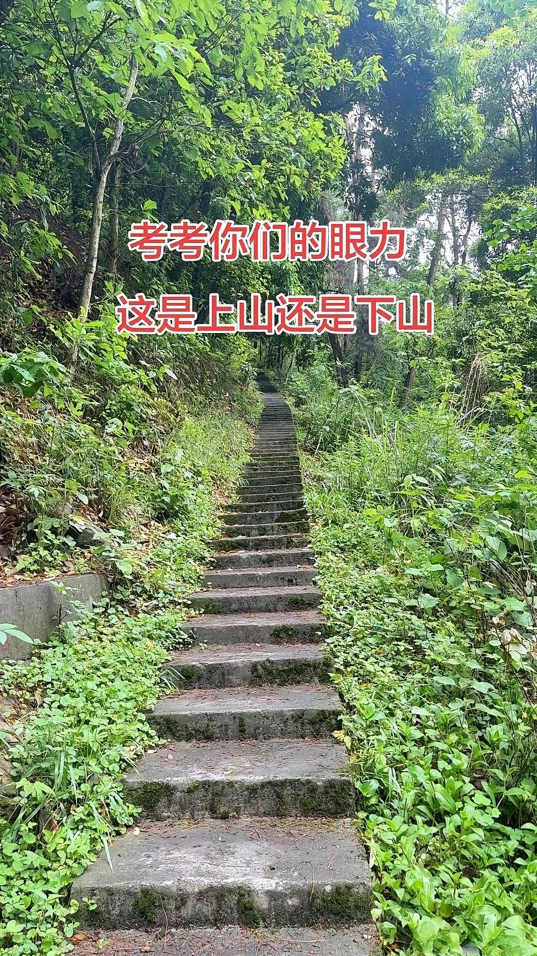 看出来了吗？ 