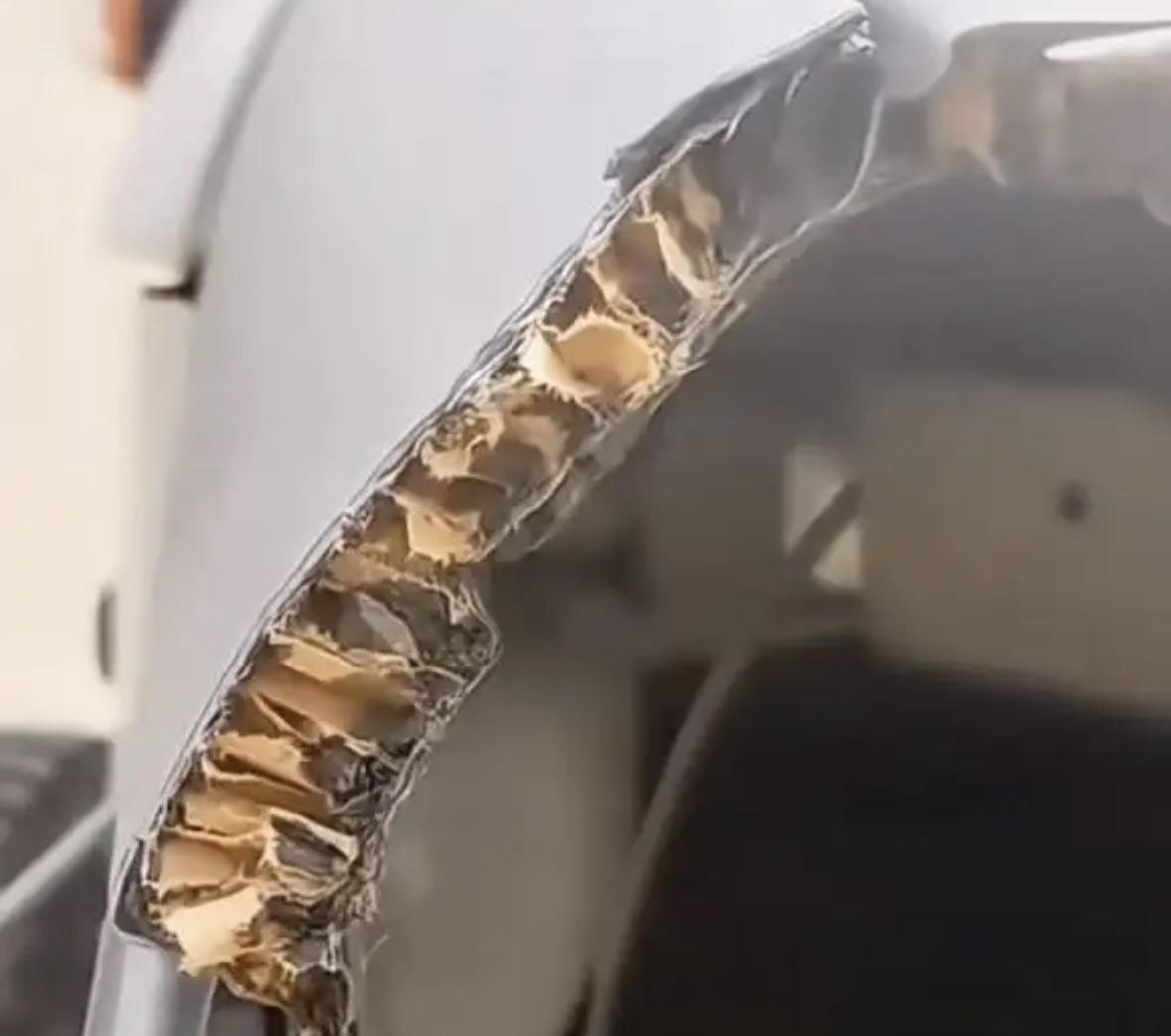纸糊汽车？福特烈马车顶用纸壳材料，到底怎么回事？
福特回应了，烈马顶盖采用三明治