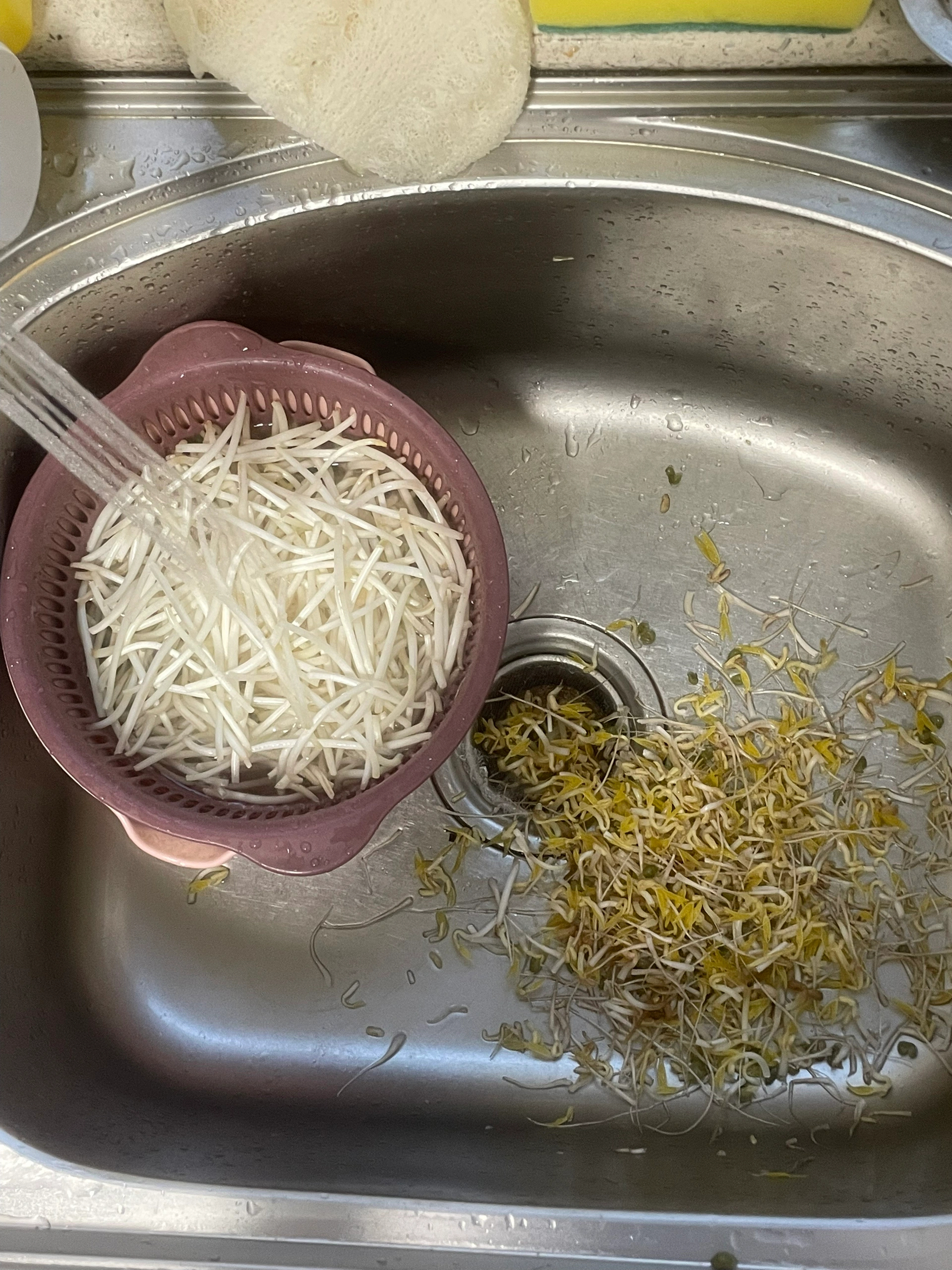 这豆芽非吃不可吗？一块钱的豆芽付出了一百块钱的心😂😂 ​​​