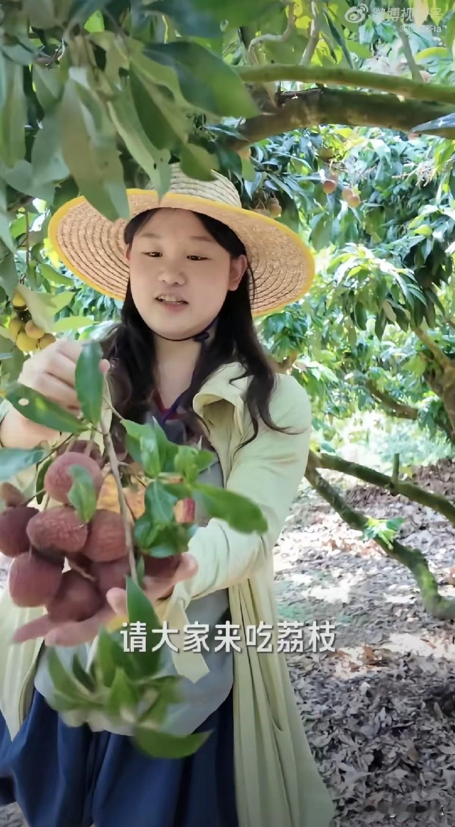 张家齐退役后干啥去了？
被全红婵“安排”得明明白白：卖荔枝、学直播、吃农家饭！