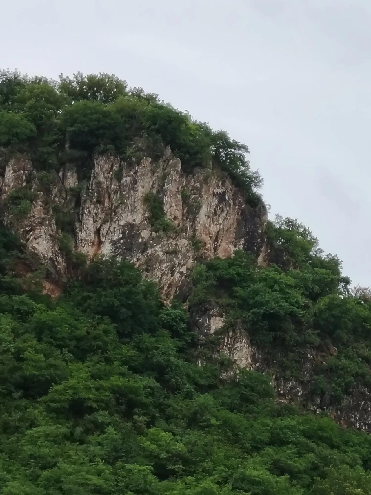 山大挡风，树大遮雨。
山之所以能挡风，是因为它历经岁月的雕琢，不断积累高度与厚重