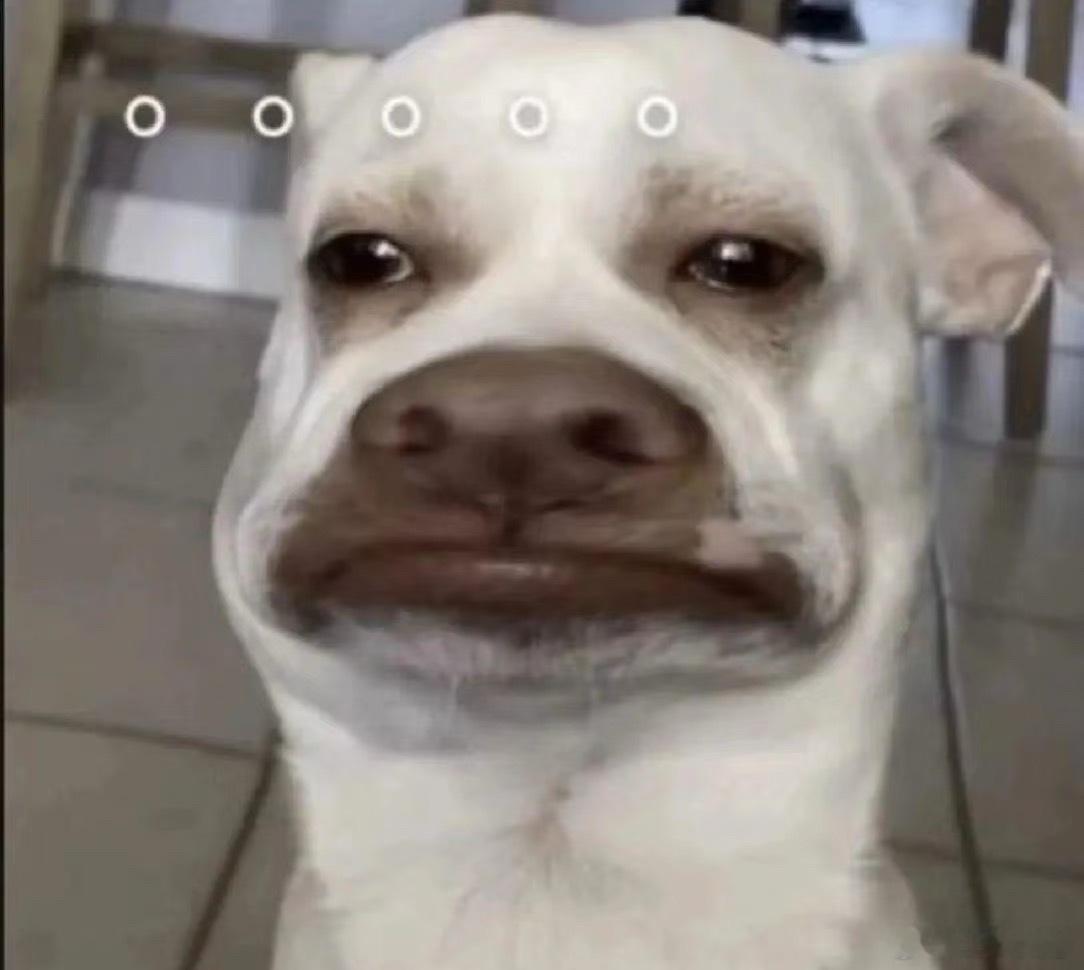 最近记性真的不太行，在客厅坐着感觉jio冷，想着去卧室拿一双毛毛袜穿。走到卧室完