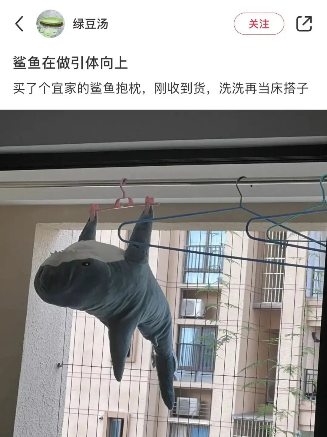 <img src=