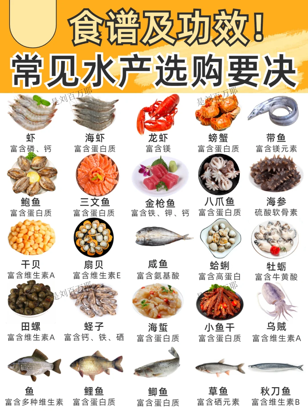 2⃣️5⃣️种常见海鲜选购要诀🔥干货科普‼️