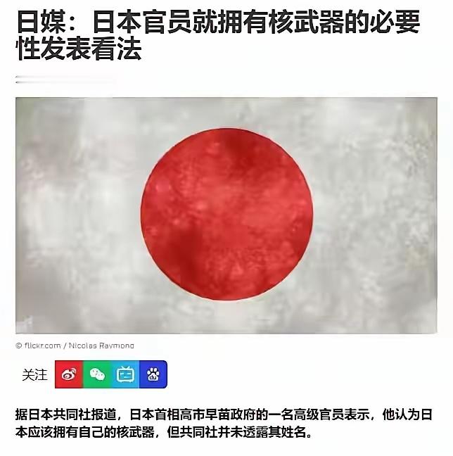 日媒：日本高级官员应该拥有自己的核武器。 