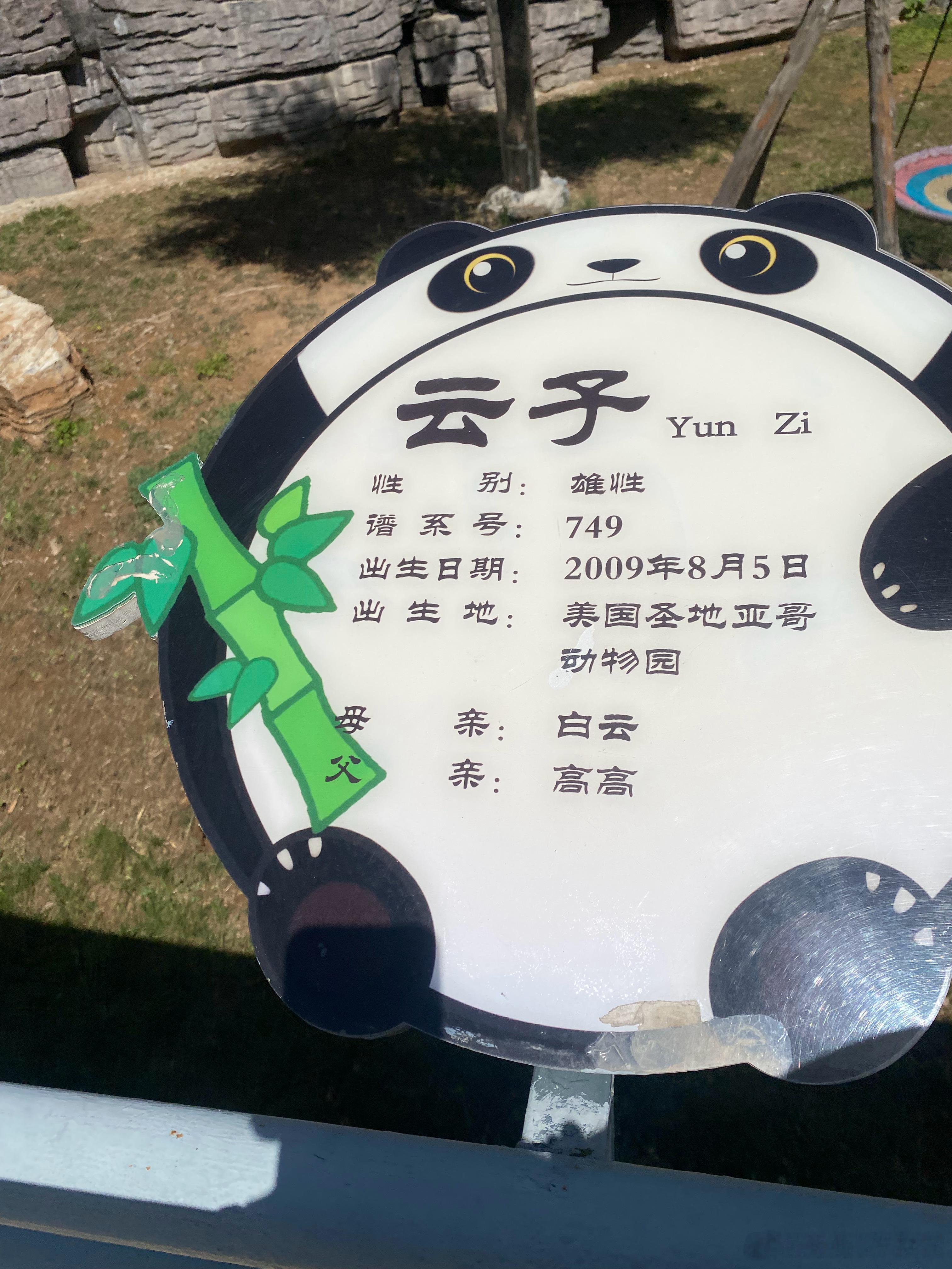 分享图片 ​​​