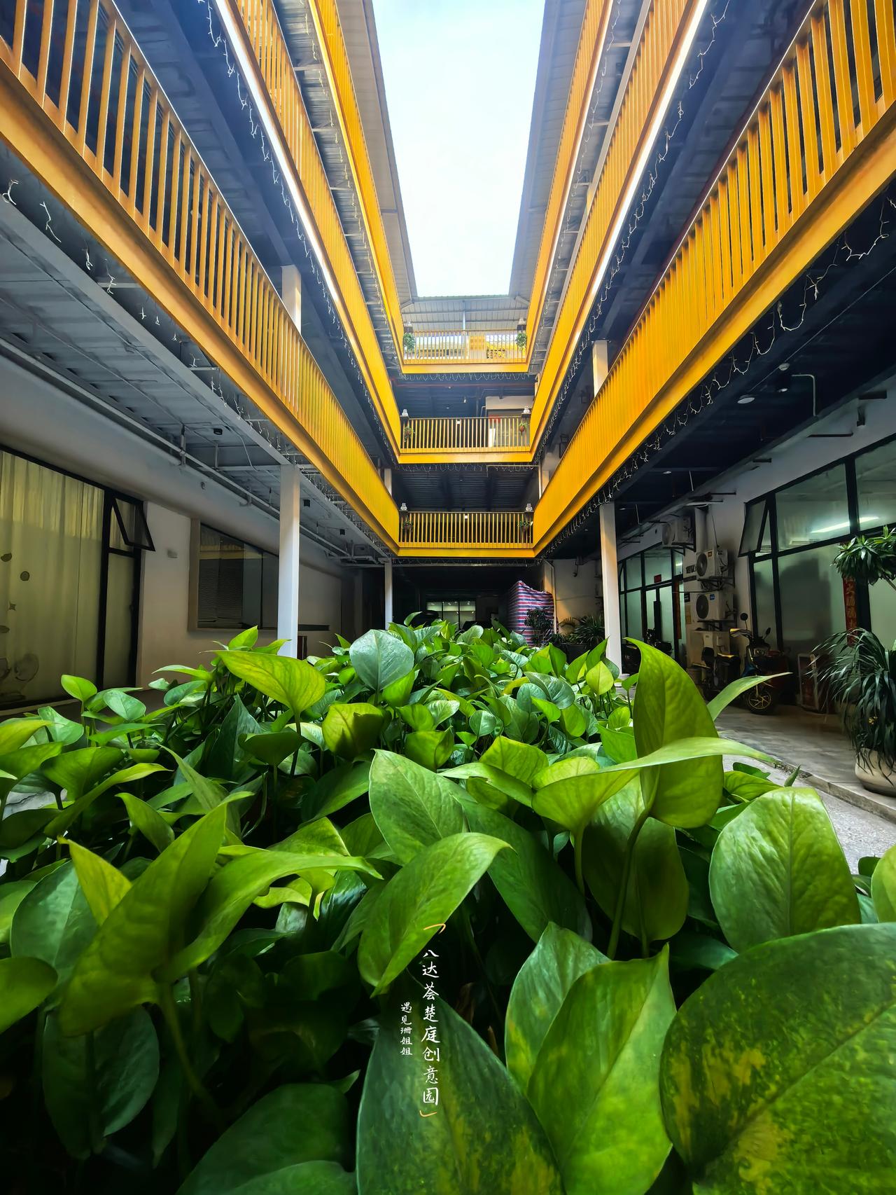 路上出行途经海珠南洲，一眼就被楚庭二字抓住目光，瞬间勾起好奇心，一定要进去看一看
